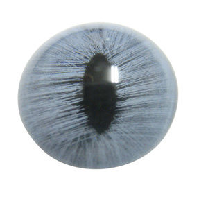 Blue Cat Eye Design Magnet